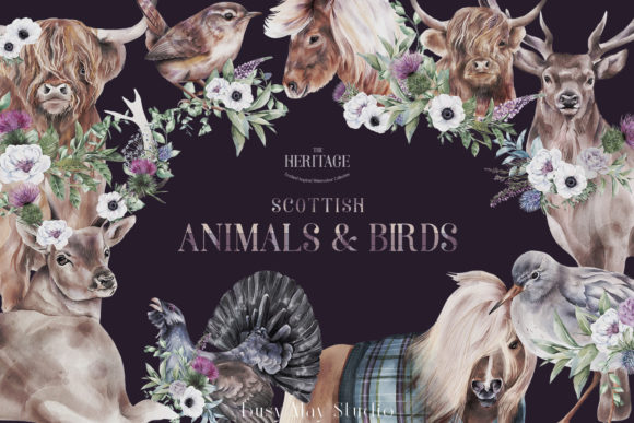 Scottish Animals Birds Illustrations: Elevating Creative Projects with Authentic Heritage Design