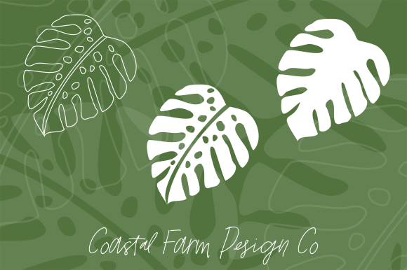Strategic Application of Tropical Monstera Deliciosa 2 Leaf Assets in Creative Projects