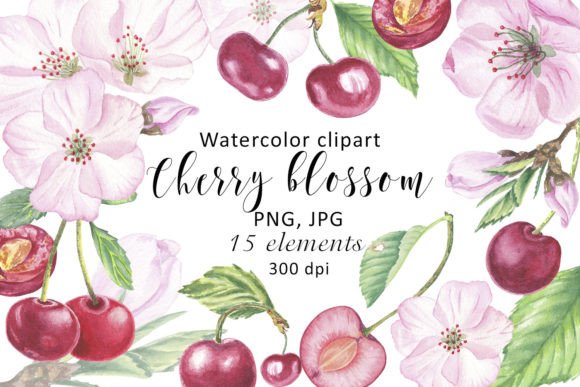 Watercolor Clipart Cherry Flower Blossom: Elevating Digital and Print Design