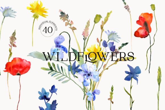 Watercolor Wildflowers Graphics: A Comprehensive Guide to Botanical Design Assets